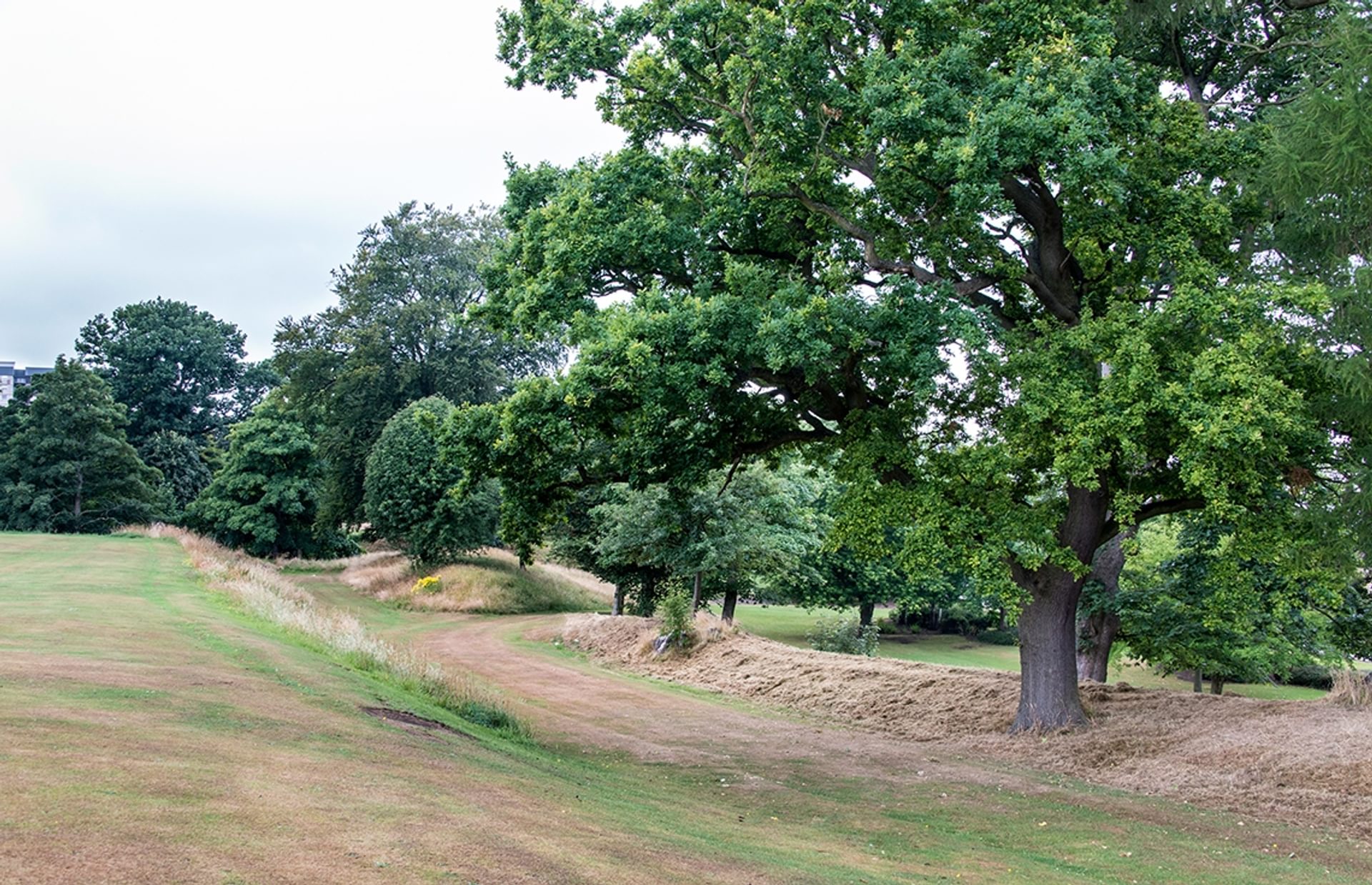 © Crown Copyright HES
Callendar Park, a large lawn with the line of the ditch stretching into the distance. Trees grow along the far bank. © Crown Copyright HES
Callendar Park, a large lawn with the line of the ditch stretching into the distance. Trees grow along the far bank.