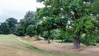 © Crown Copyright HES
Callendar Park, a large lawn with the line of the ditch stretching into the distance. Trees grow along the far bank. © Crown Copyright HES
Callendar Park, a large lawn with the line of the ditch stretching into the distance. Trees grow along the far bank.
