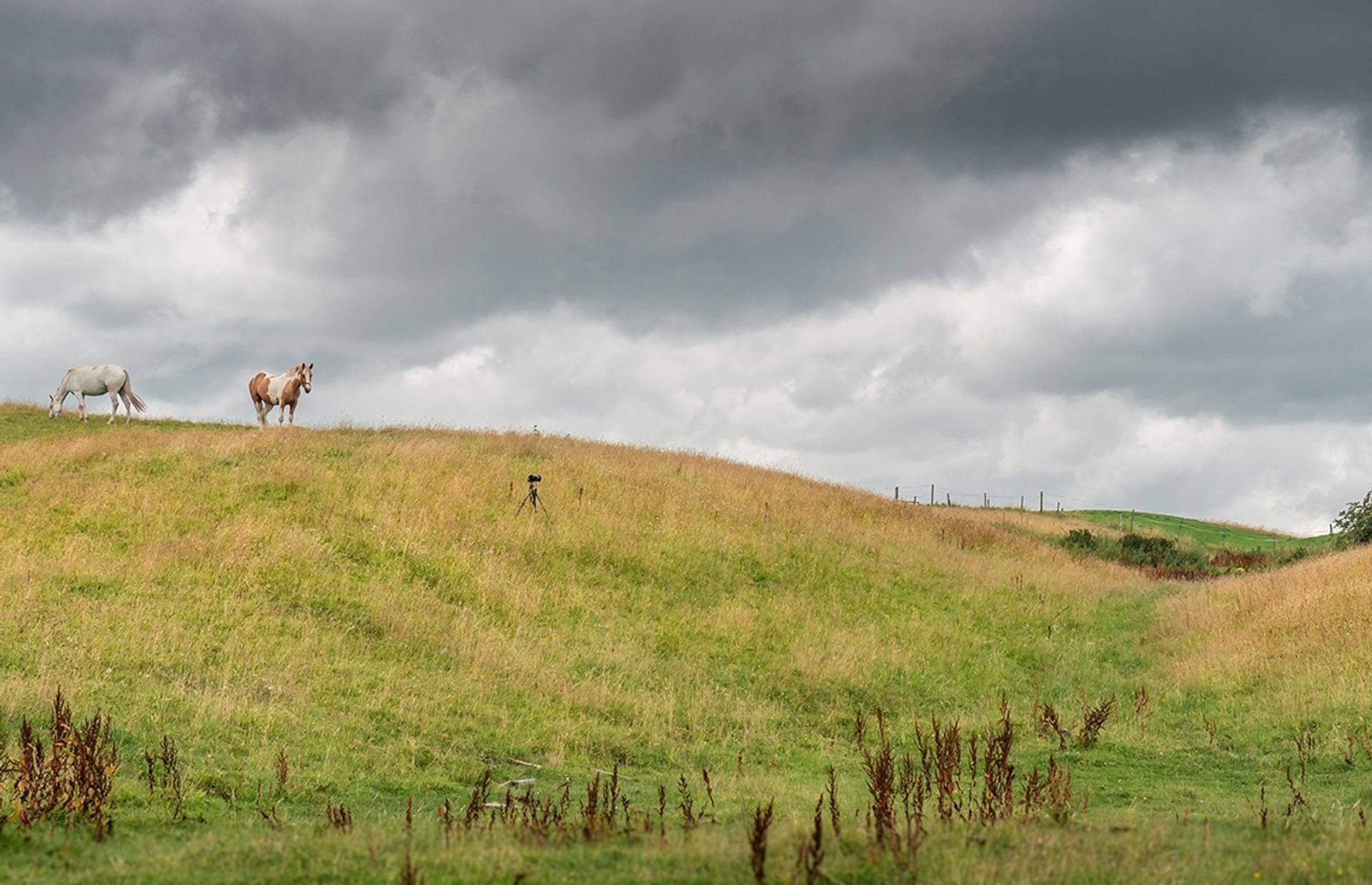 © Rediscovering the Antonine Wall Project
Castlecary fort site, a green field with low mounds on either side of a ditch. A white horse stands on the brow of the hill. © Rediscovering the Antonine Wall Project
Castlecary fort site, a green field with low mounds on either side of a ditch. A white horse stands on the brow of the hill.