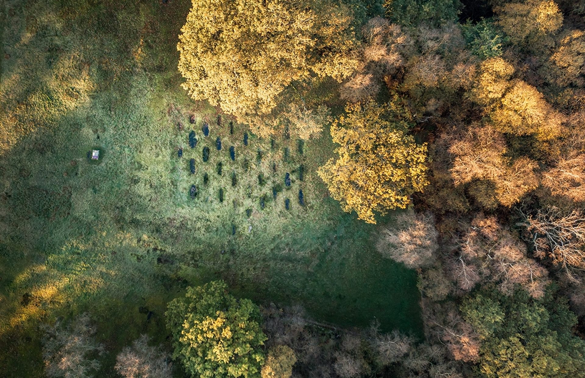 © Rediscovering the Antonine Wall Project
Rough Castle ‘Lilia’ defensive pits from above, the only known example. Deep, oblong pits in the grass surrounded by trees. © Rediscovering the Antonine Wall Project
Rough Castle ‘Lilia’ defensive pits from above, the only known example. Deep, oblong pits in the grass surrounded by trees.