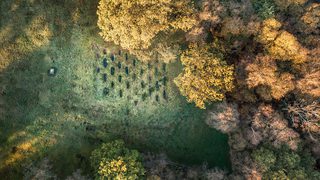 © Rediscovering the Antonine Wall Project
Rough Castle ‘Lilia’ defensive pits from above, the only known example. Deep, oblong pits in the grass surrounded by trees. © Rediscovering the Antonine Wall Project
Rough Castle ‘Lilia’ defensive pits from above, the only known example. Deep, oblong pits in the grass surrounded by trees.