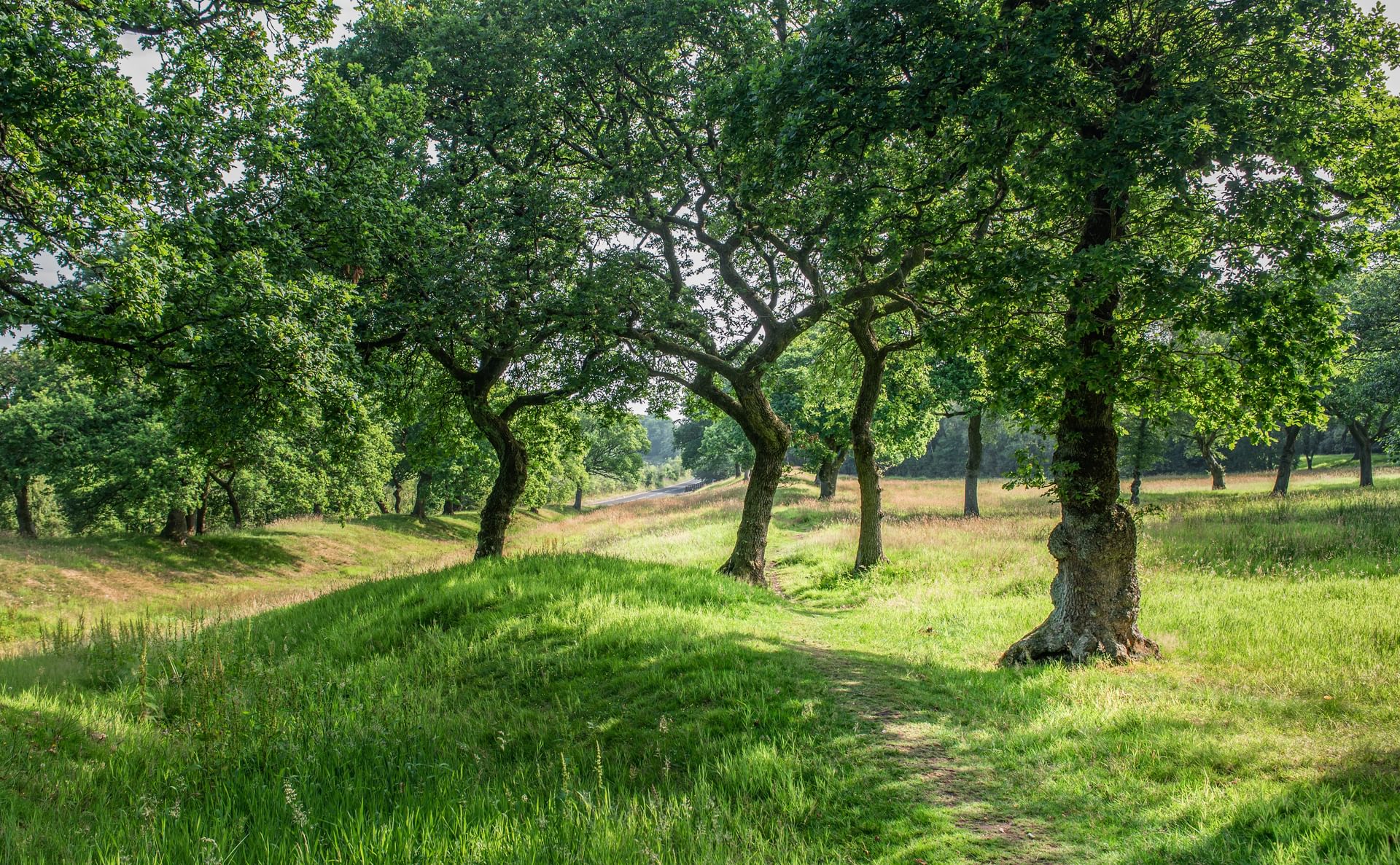 © Rediscovering the Antonine Wall Project © Rediscovering the Antonine Wall Project