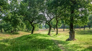 © Rediscovering the Antonine Wall Project © Rediscovering the Antonine Wall Project