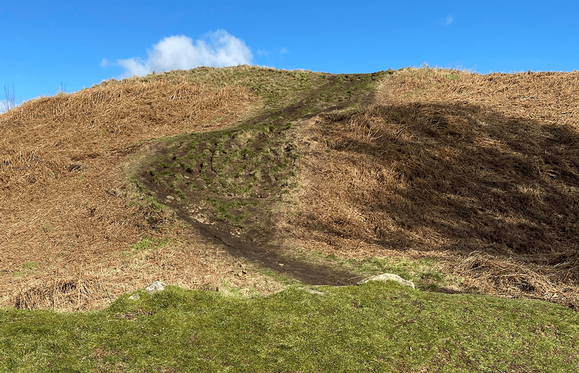 © Laurie Risk
Castle Hill, an interpretation board, it is white and purple with text and images on it. The board sits on a stone plinth. © Laurie Risk
Castle Hill, an interpretation board, it is white and purple with text and images on it. The board sits on a stone plinth.