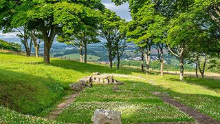© Rediscovering the Antonine Wall Project
The square foundations of Bar Hill Roman bath house on a grassy hillside with trees. A section of low wall and underfloor heating system are visible. © Rediscovering the Antonine Wall Project
The square foundations of Bar Hill Roman bath house on a grassy hillside with trees. A section of low wall and underfloor heating system are visible.