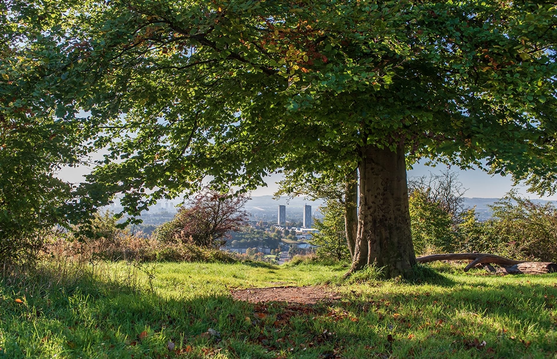 © Rediscovering the Antonine Wall Project
Castlehill, a field with a large tree covered in green leaves. In the distance are bushes, buildings, and blue sky. © Rediscovering the Antonine Wall Project
Castlehill, a field with a large tree covered in green leaves. In the distance are bushes, buildings, and blue sky.