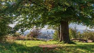 © Rediscovering the Antonine Wall Project
Castlehill, a field with a large tree covered in green leaves. In the distance are bushes, buildings, and blue sky. © Rediscovering the Antonine Wall Project
Castlehill, a field with a large tree covered in green leaves. In the distance are bushes, buildings, and blue sky.