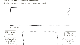 HS The Archaeologist worksheet AW 1 HS The Archaeologist worksheet AW 1