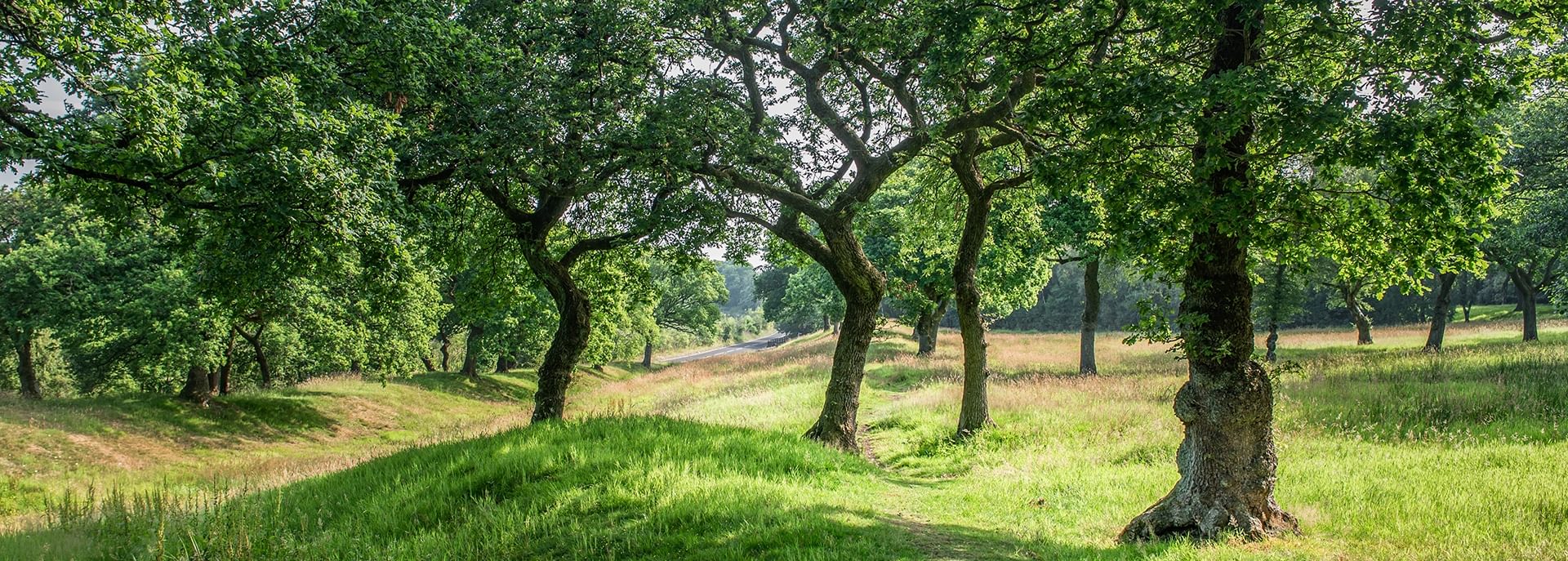 © Rediscovering the Antonine Wall Project © Rediscovering the Antonine Wall Project