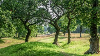 © Rediscovering the Antonine Wall Project © Rediscovering the Antonine Wall Project