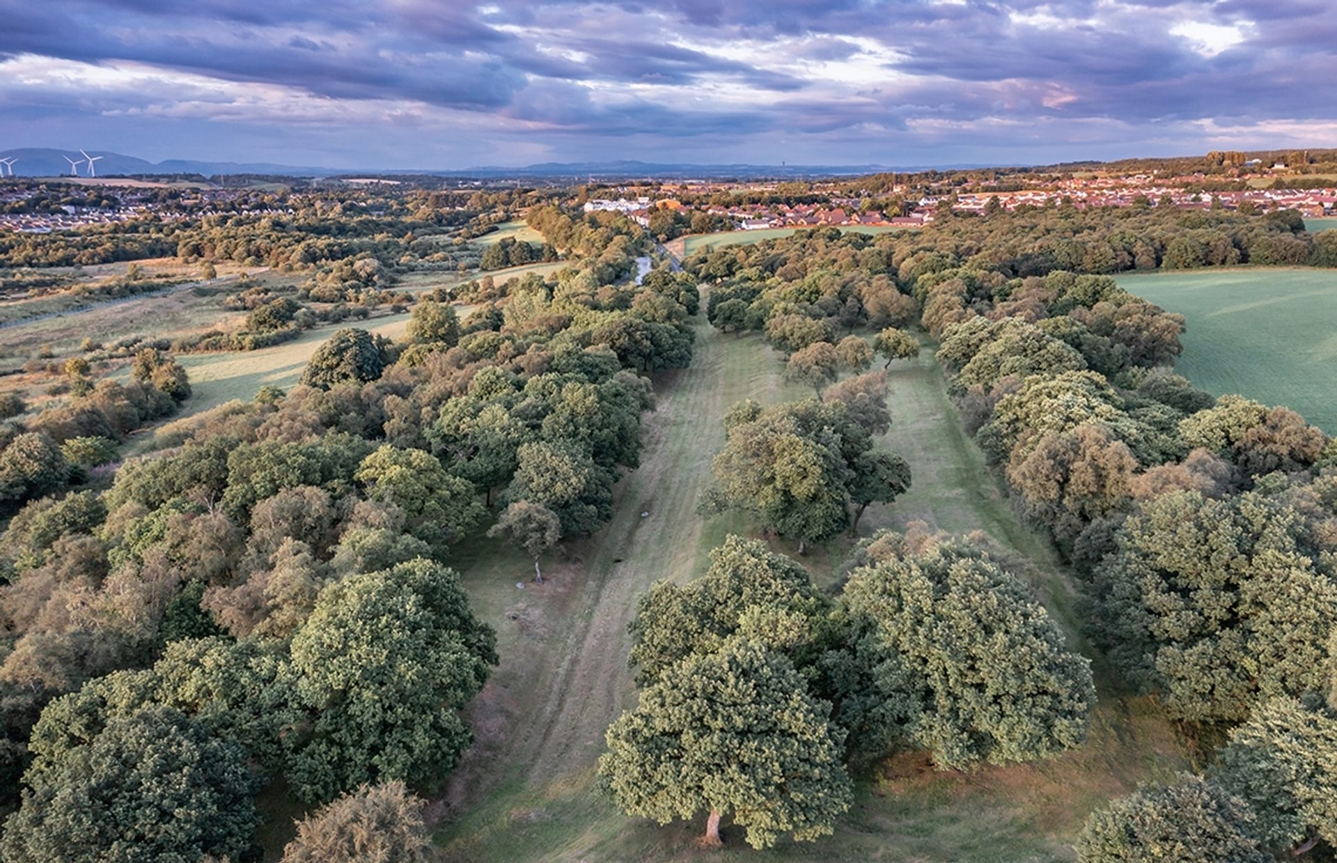 © Rediscovering the Antonine Wall Project
Seabegs Wood from above. The site is marked by wide grass paths through the woods. There are houses and dark blue sky beyond. © Rediscovering the Antonine Wall Project
Seabegs Wood from above. The site is marked by wide grass paths through the woods. There are houses and dark blue sky beyond.
