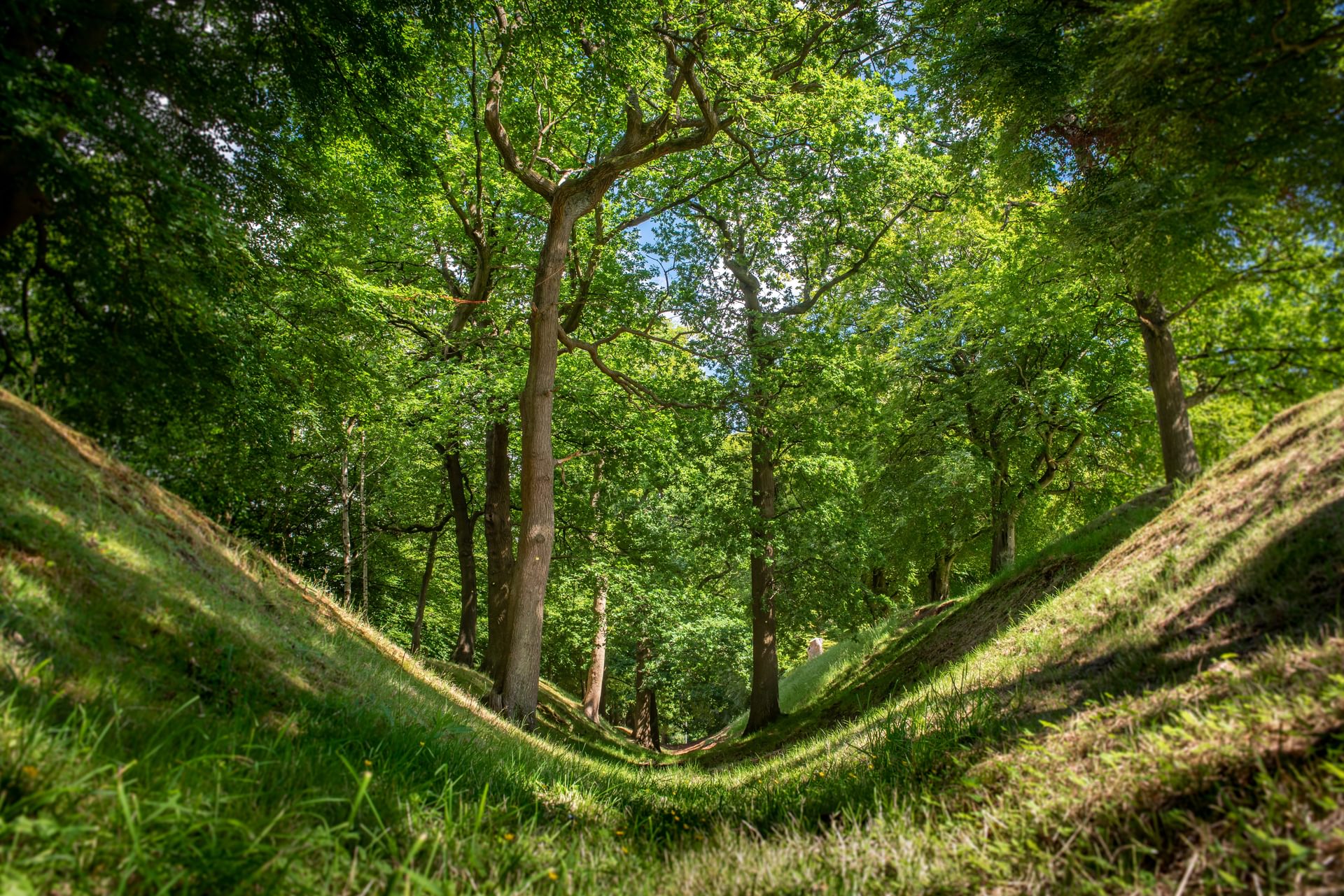 ©Rediscovering the Antonine Wall Project.
The Antonine Wall Ditch at Watling Lodge, Falkirk ©Rediscovering the Antonine Wall Project.
The Antonine Wall Ditch at Watling Lodge, Falkirk