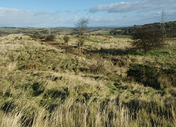 © Crown Copyright HES
Tollpark is in a wild, tussocky grassland with a couple of trees amongst the grass. The sky is blue with small white clouds. © Crown Copyright HES
Tollpark is in a wild, tussocky grassland with a couple of trees amongst the grass. The sky is blue with small white clouds.