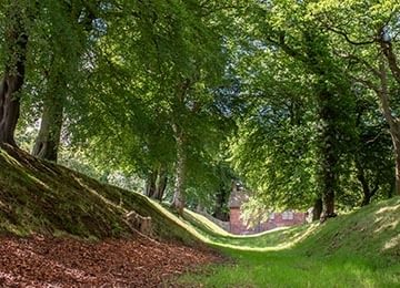 © Rediscovering the Antonine Wall Project
Watling Lodge, a deep ditch with long grass and piles of leaves in it. Dappled light shines through trees on either side. © Rediscovering the Antonine Wall Project
Watling Lodge, a deep ditch with long grass and piles of leaves in it. Dappled light shines through trees on either side.